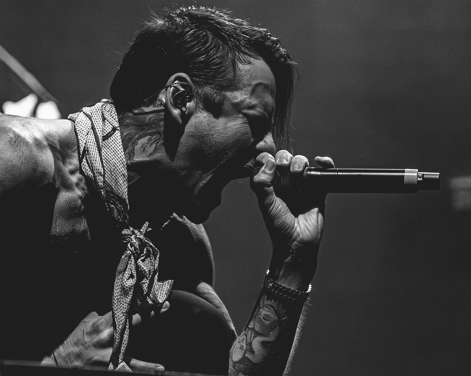 Beartooth — frame 16